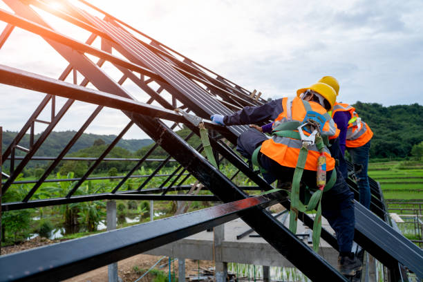 Best Roofing Contractor Near Me  in Edinburg, IL