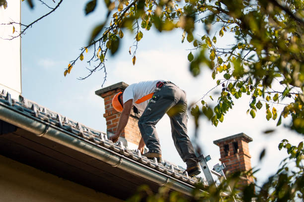 Best New Roof Installation  in Edinburg, IL