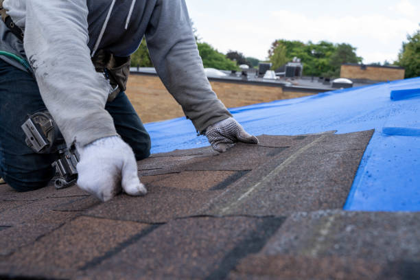 Best Residential Roof Replacement  in Edinburg, IL