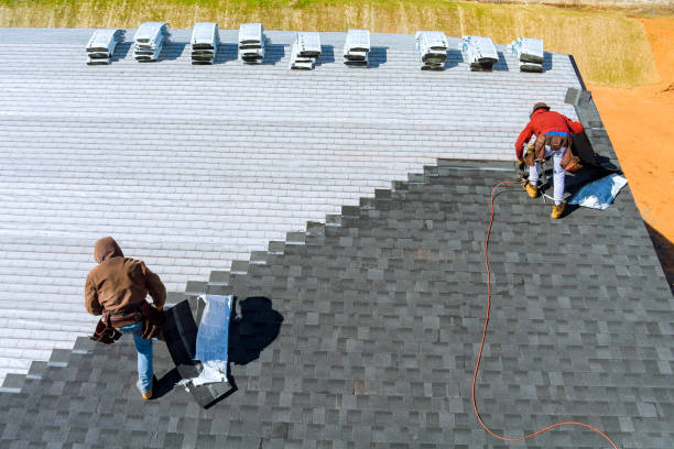 Roof Gutter Cleaning in Edinburg, IL