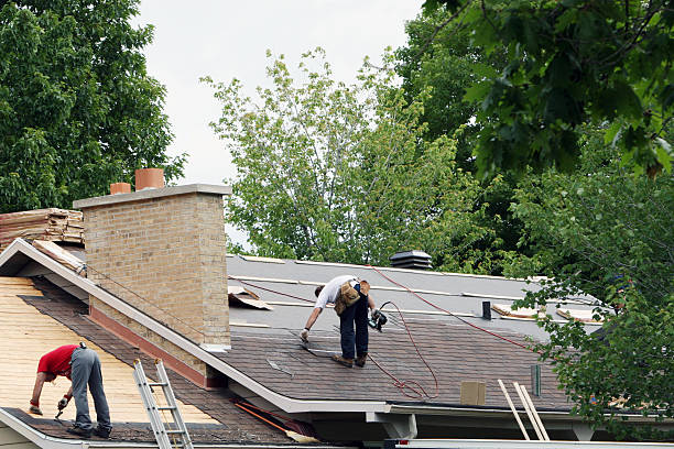 Best Commercial Roofing Services  in Edinburg, IL