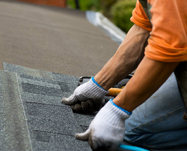 Best Gutter Installation and Roofing  in Edinburg, IL