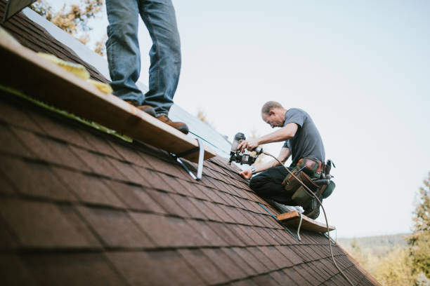 Tile Roofing Contractor in Edinburg, IL