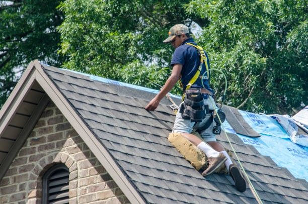 Quick and Trustworthy Emergency Roof Repair Services in Edinburg, IL